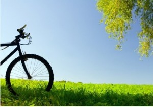 Biciclettata "Natura e gusto" @ Martinengo
